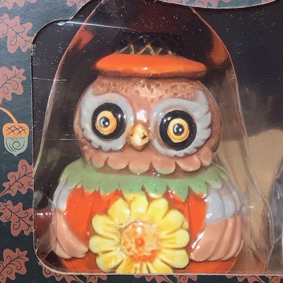 Johanna Parker turkey and owl Salt & Pepper Shakers 🍁 - Picture 10 of 16
